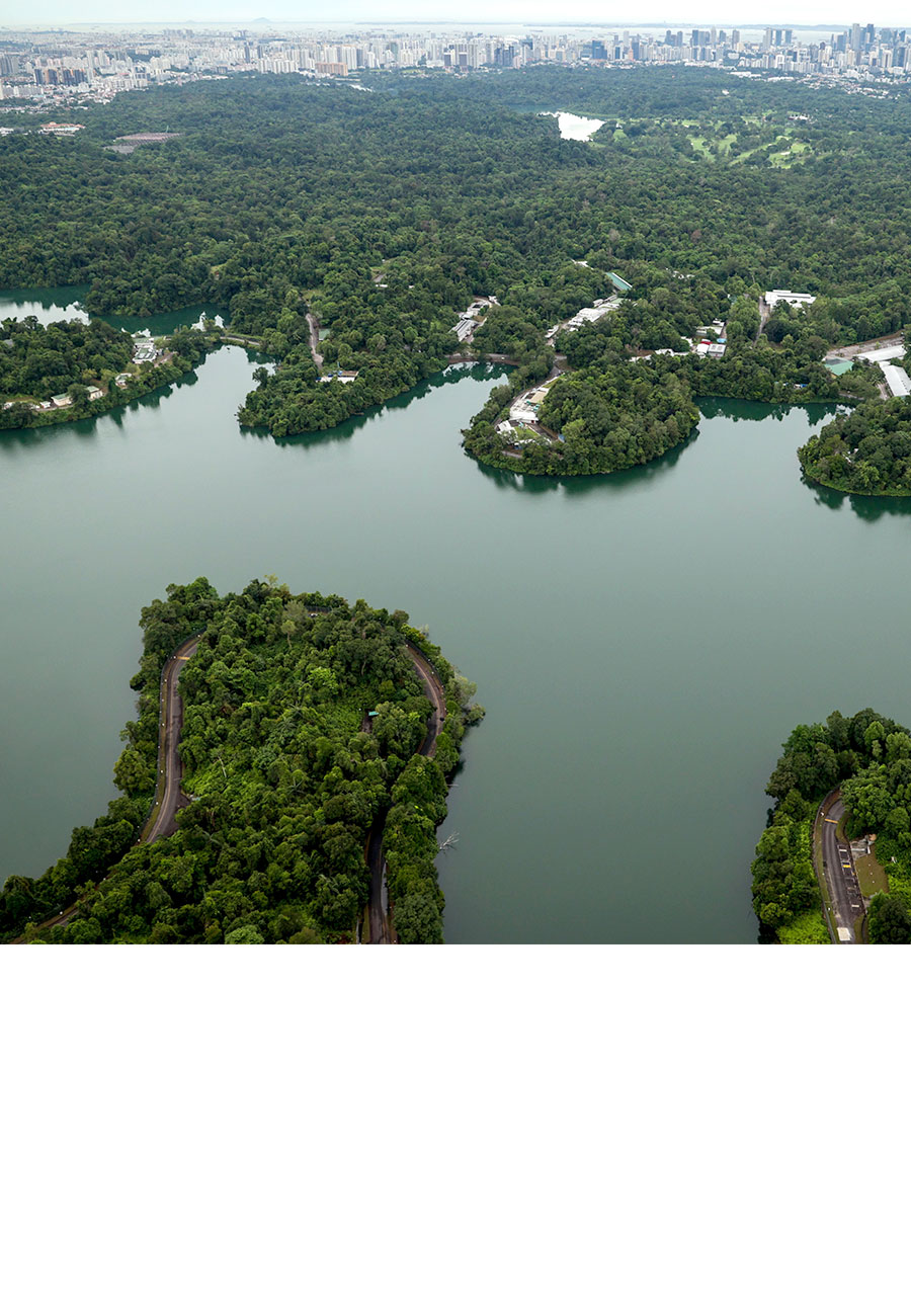 Upper Seletar