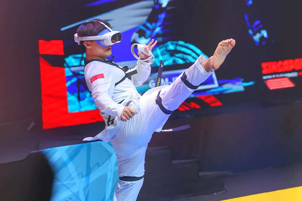 Virtual Taekwondo